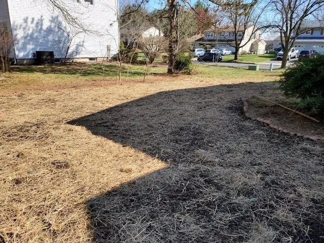 Reliable yard maintenance in Hillsborough, NJ by King Tree Service