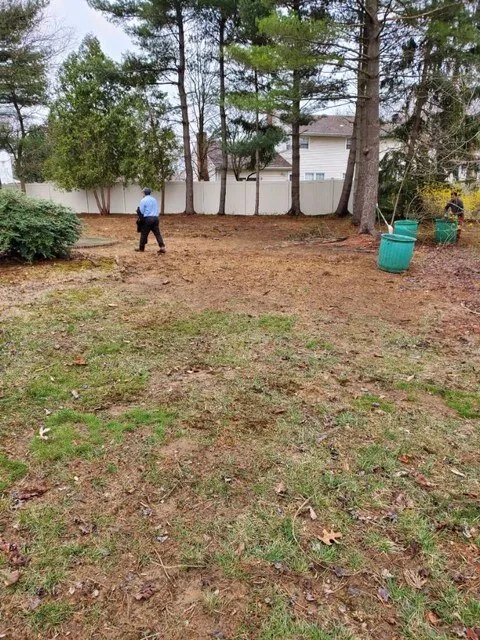 Top-rated yard maintenance for residential properties across Hillsborough, NJ - King Tree Service