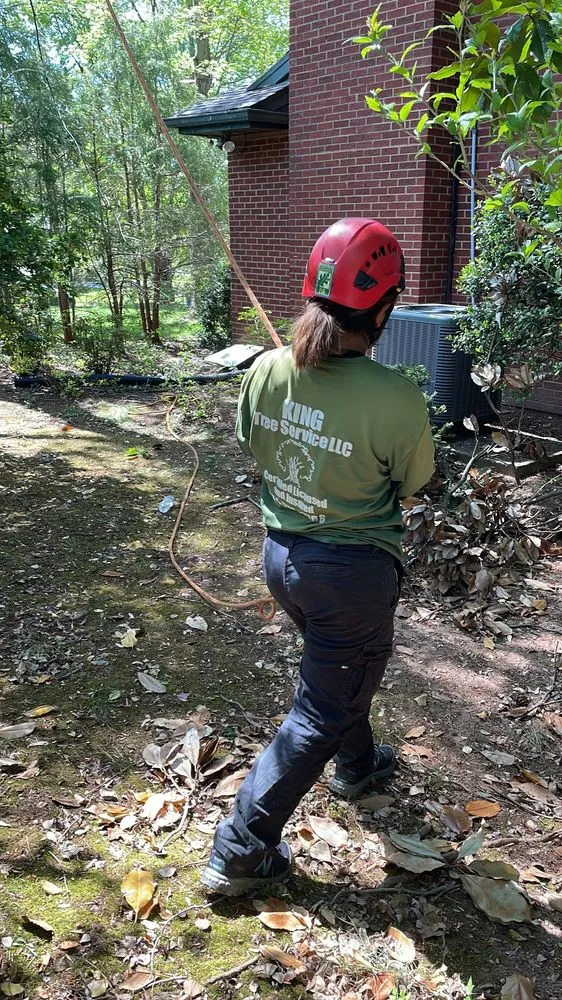 Custom yard maintenance for homes in Manassas, VA by King Tree Services