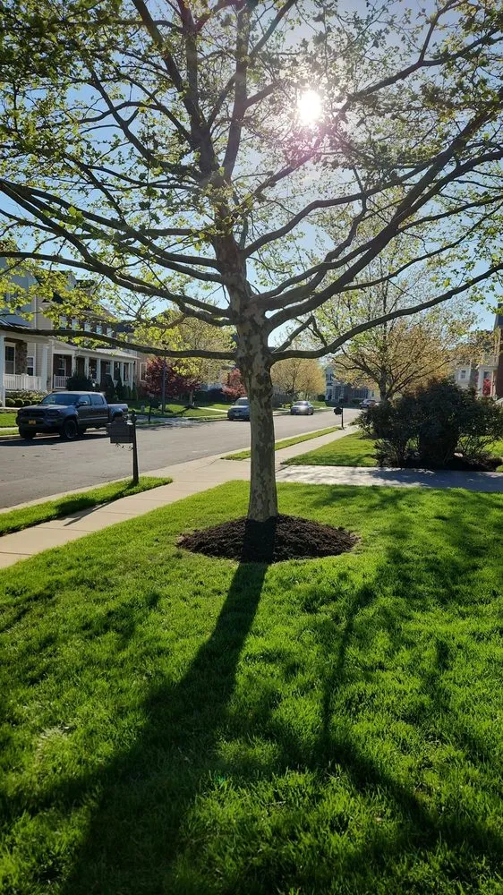 Custom residential landscaping in Manassas, VA - King Tree Services