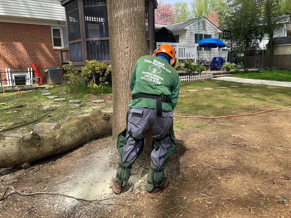 Trusted landscaping services near you across Manassas, VA - King Tree Services