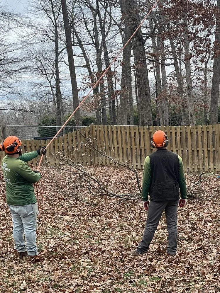 Local lawn care service with custom design across Manassas, VA - King Tree Services