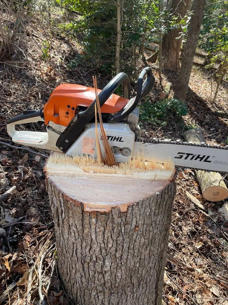 Expert outdoor landscaping experts serving Manassas, VA - King Tree Services