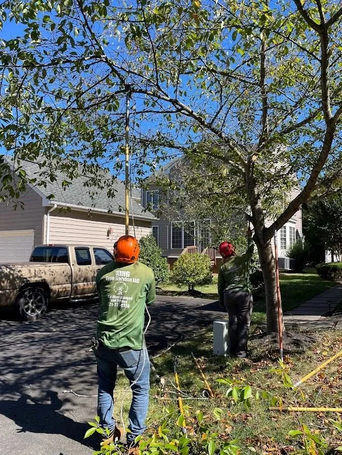 Professional residential landscaping for residential properties in Manassas, VA by King Tree Services