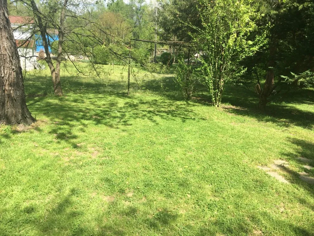 Professional yard maintenance for outdoor upgrades across Stokes, NC - Kingboy Lawn Service