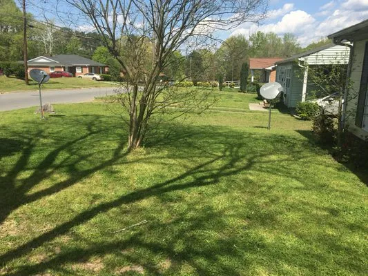Kingboy Lawn Service Logo