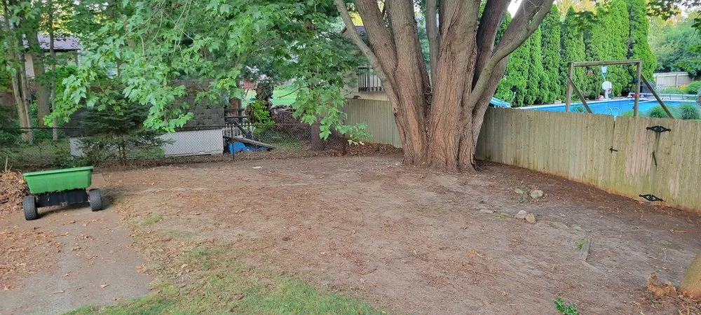 Expert yard maintenance for year-round maintenance across Benton Harbor, MI - Kingdom Bros LawnCare & Property Solutions