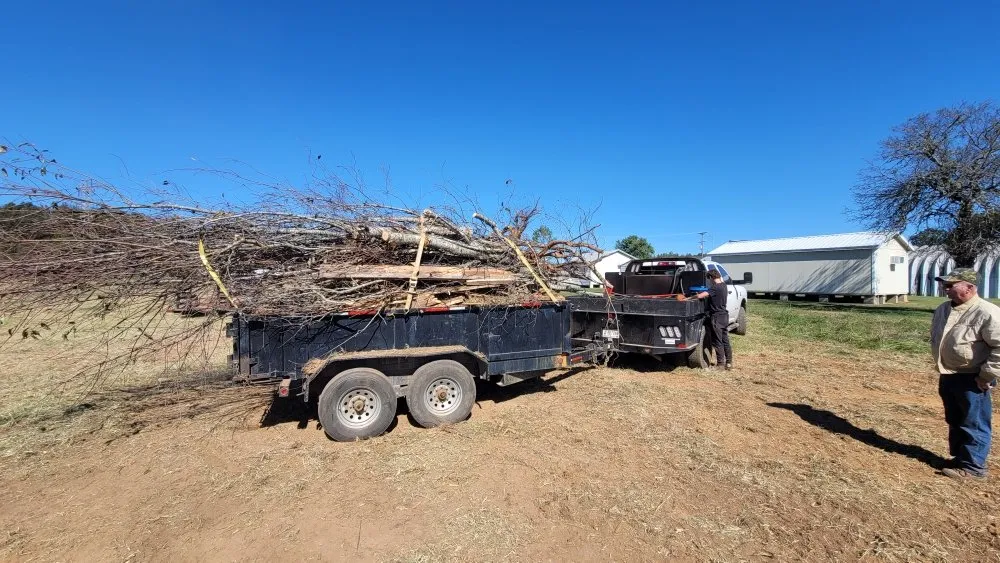 Top-rated residential landscaping experts serving Duncan, SC - Kingdom Brothers