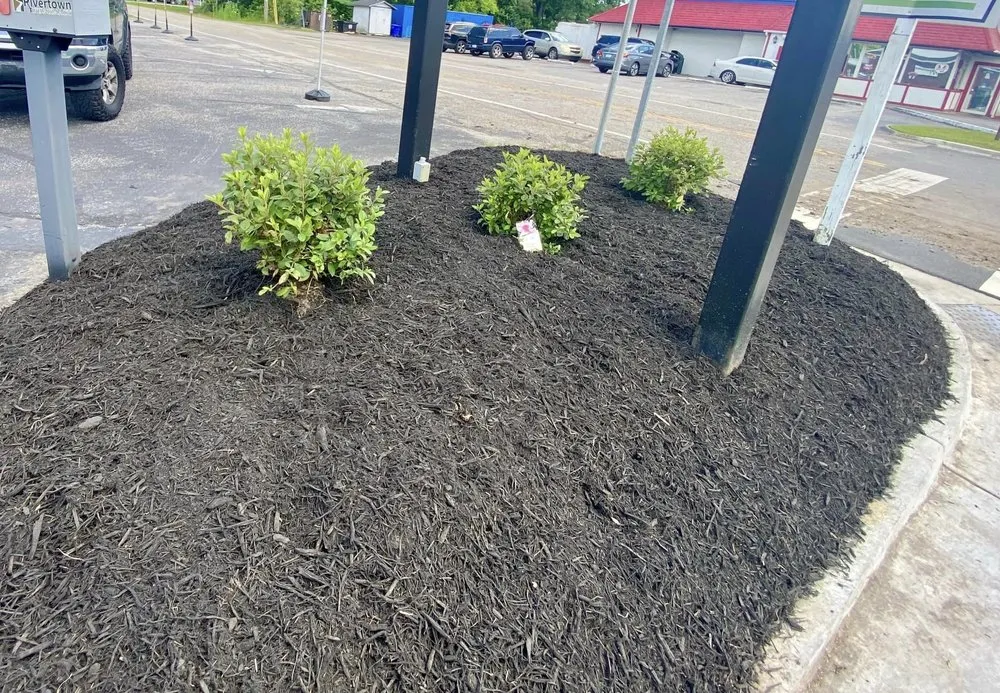 Professional lawn care service in Little River, SC - Kingdom Coastal Landscaping