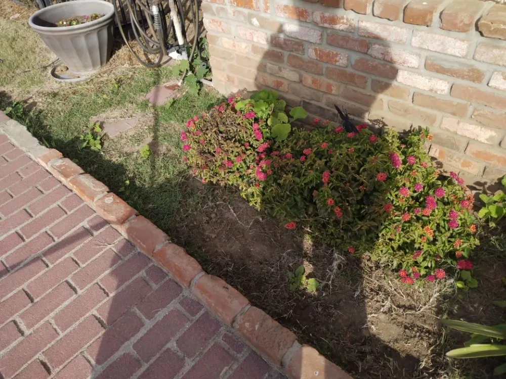 Affordable yard maintenance for residential properties in Merced, CA by Kingdom Come Landscaping