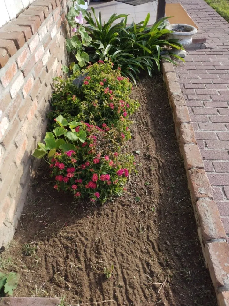 Professional lawn mowing service experts serving Merced, CA - Kingdom Come Landscaping