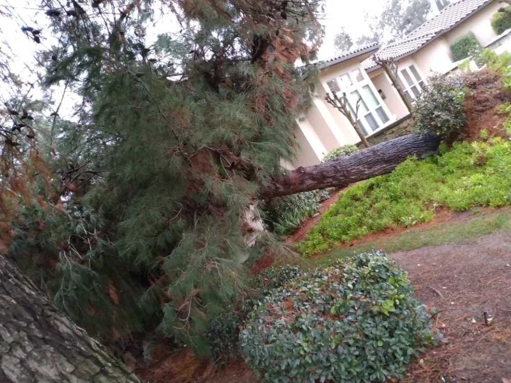 Professional yard maintenance with custom design across Merced, CA - Kingdom Come Landscaping