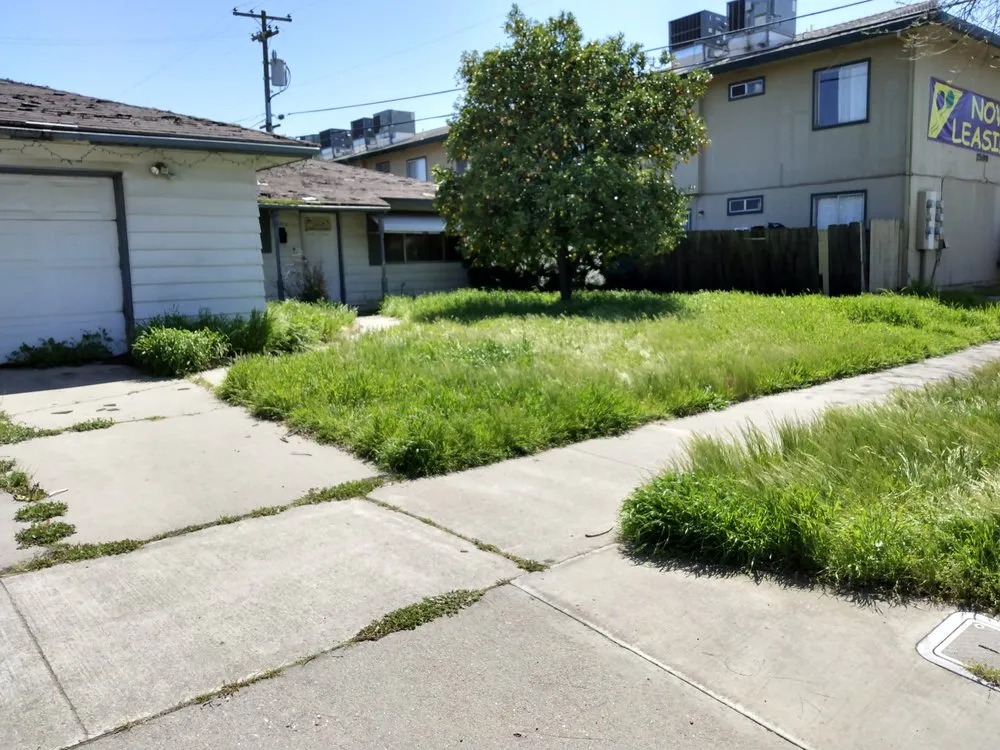 Custom landscape design experts serving Merced, CA - Kingdom Come Landscaping