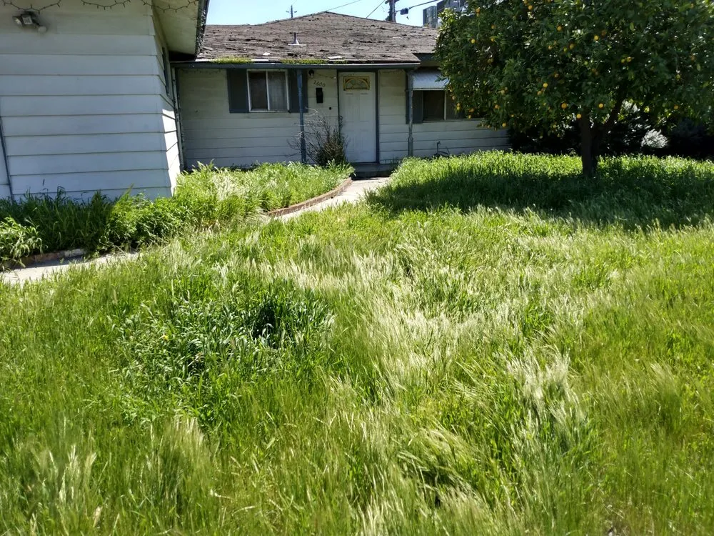 Custom lawn care service in Merced, CA by Kingdom Come Landscaping