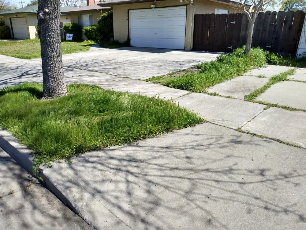 Local yard maintenance in Merced, CA by Kingdom Come Landscaping