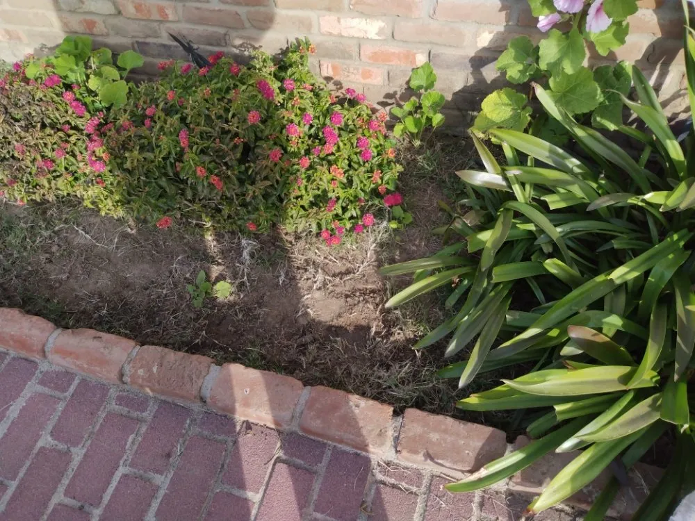 Affordable residential landscaping for residential properties across Merced, CA - Kingdom Come Landscaping