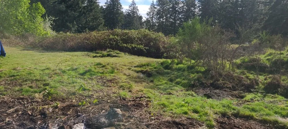Affordable landscaping services for residential properties in Onalaska, WA by Kingdom Country