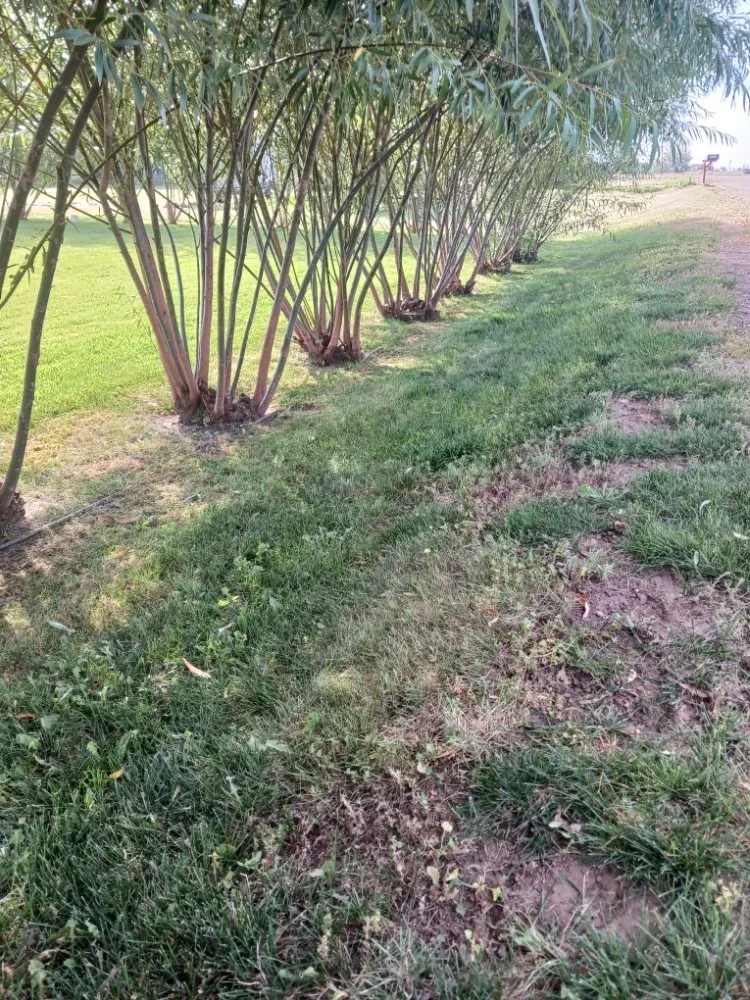 Custom landscape installation in Chinook, MT - Kingdom Craftsman