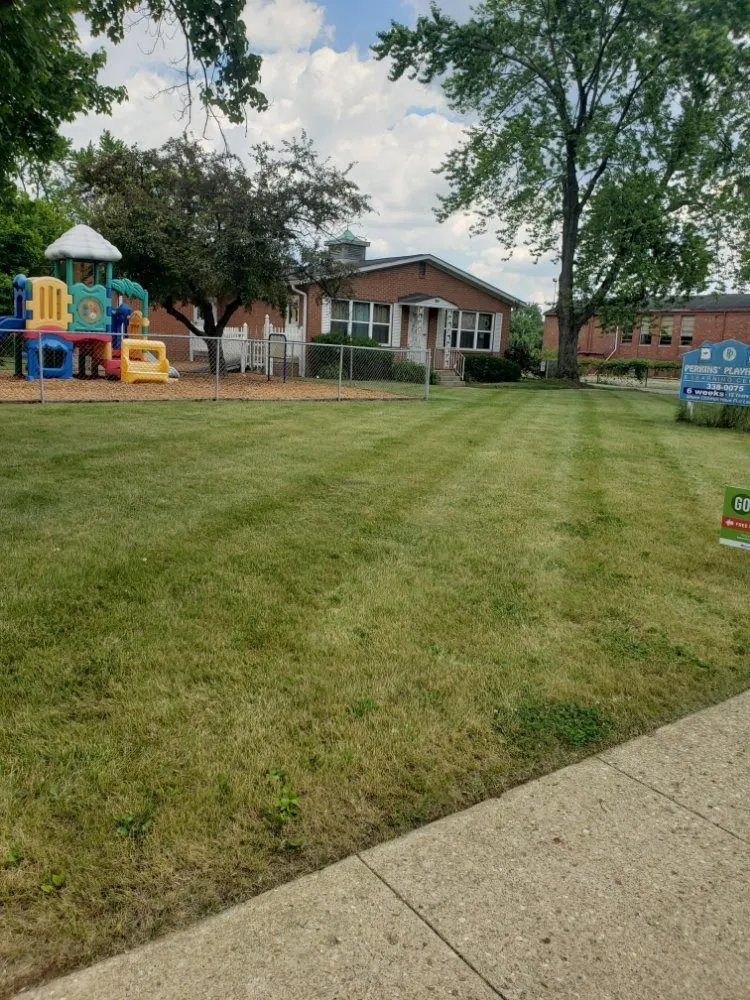 Reliable lawn care service experts serving Columbus, OH - Kingdom Creations