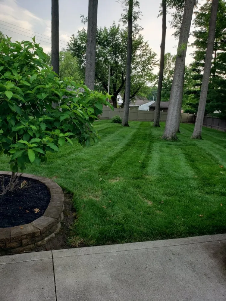 Trusted lawn mowing service experts serving Columbus, OH - Kingdom Creations