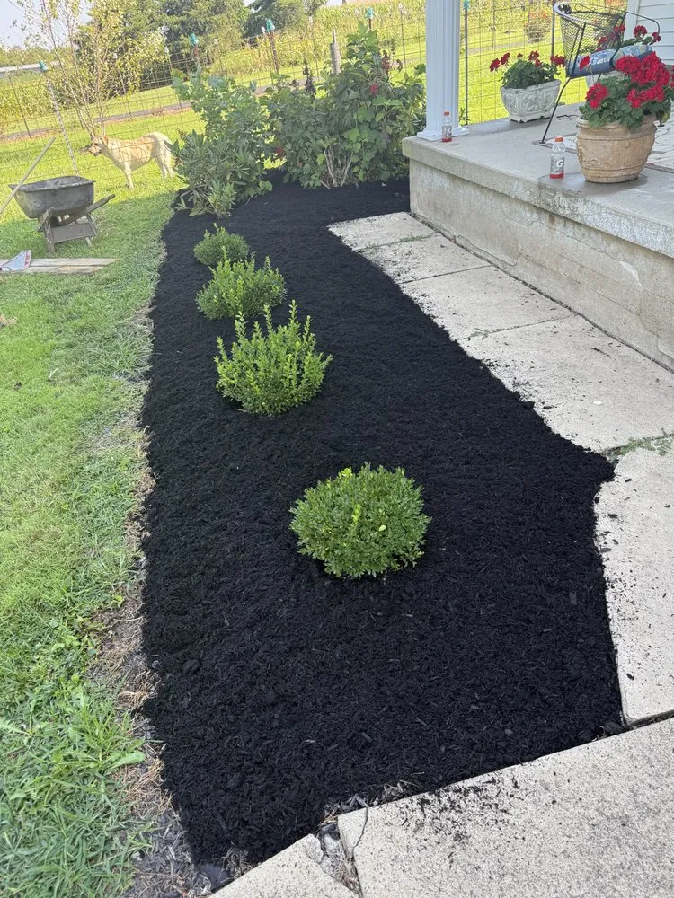 Top-rated residential landscaping for homes in Bloomfield, KY by Kingdom Cuts