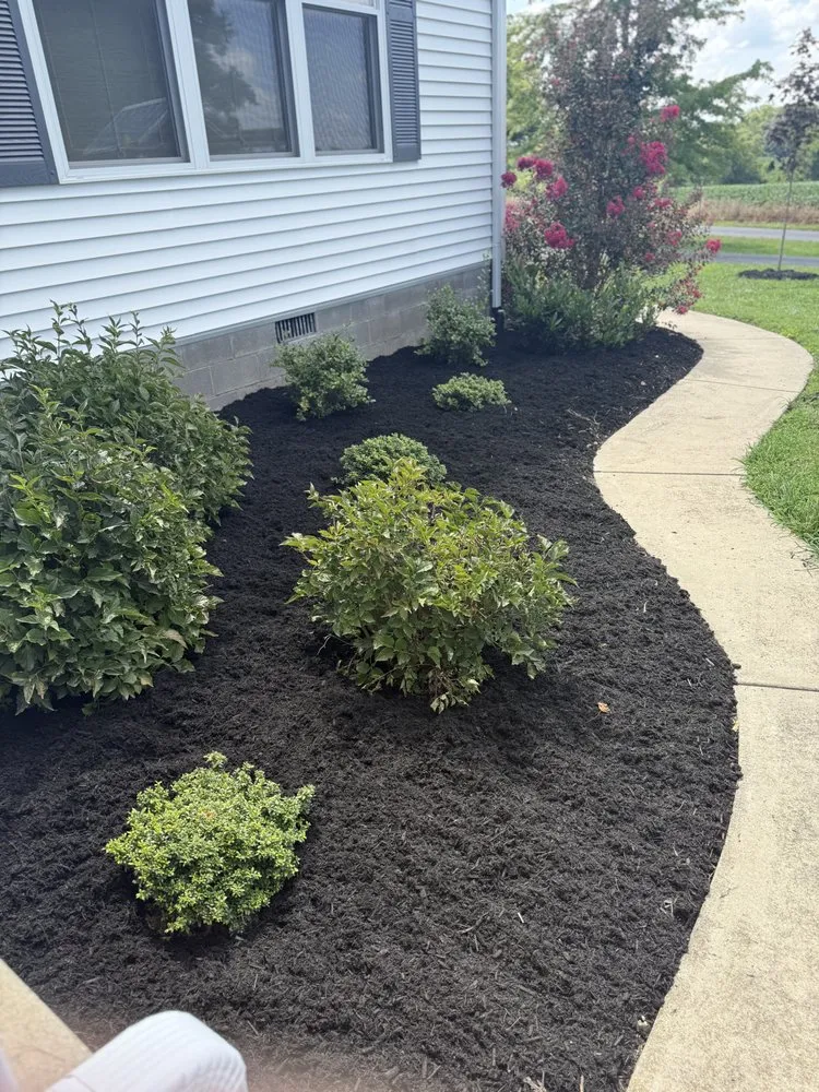 Custom yard cleanup service in Bloomfield, KY - Kingdom Cuts