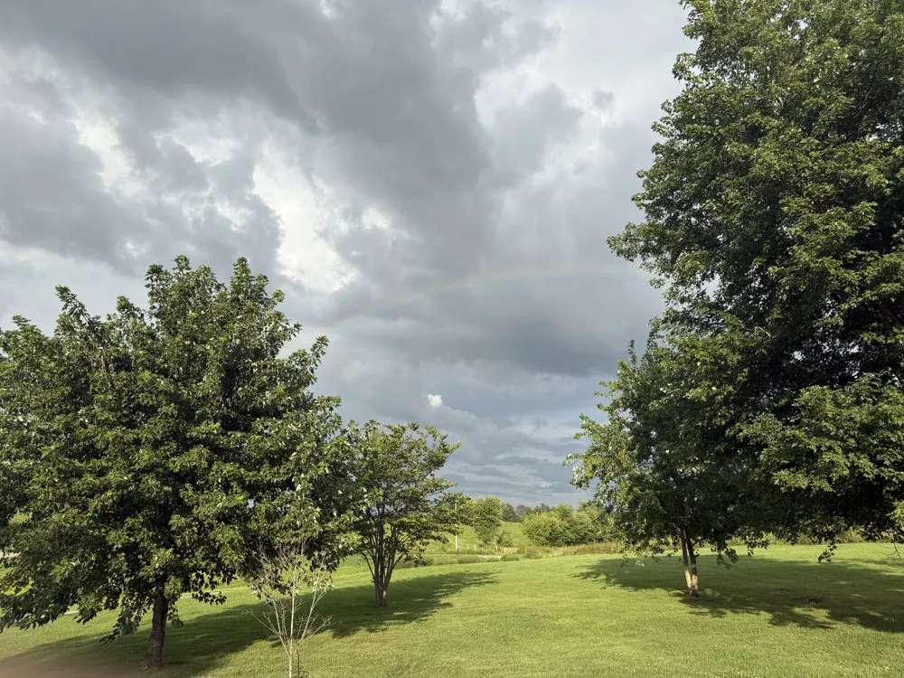 Expert yard cleanup service in Bloomfield, KY by Kingdom Cuts