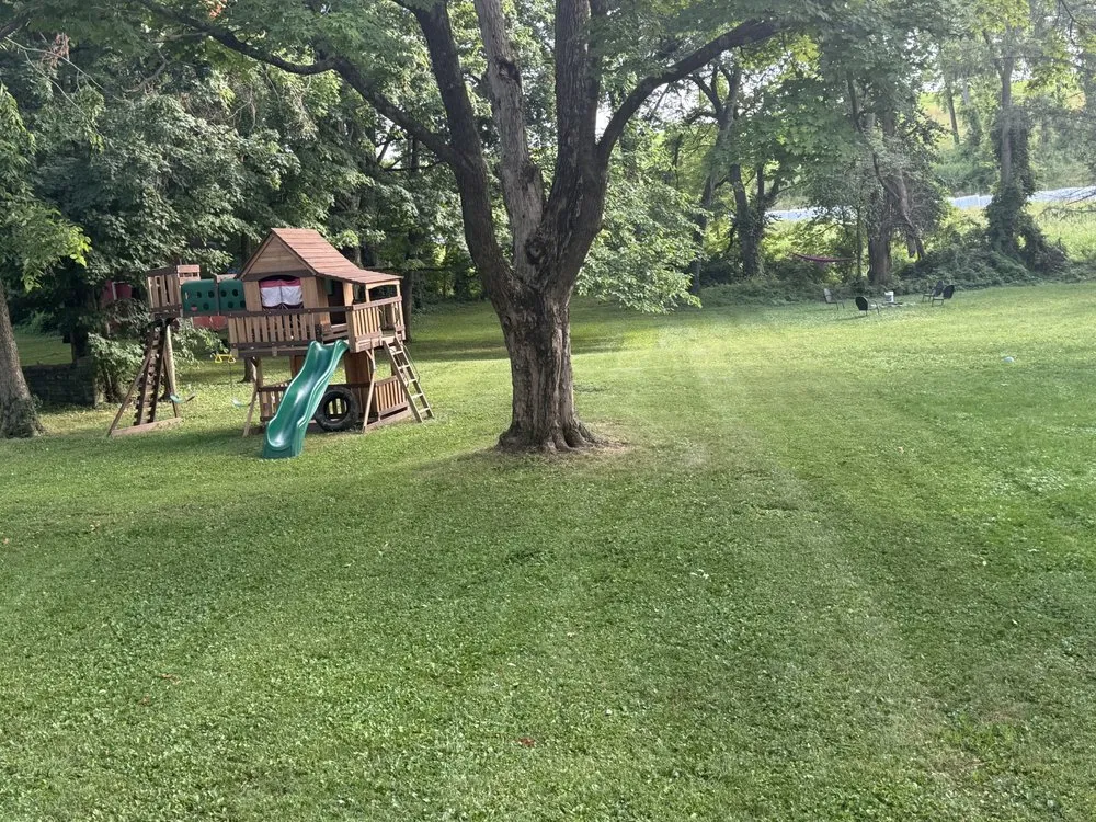 Top-rated landscape design in Bloomfield, KY - Kingdom Cuts