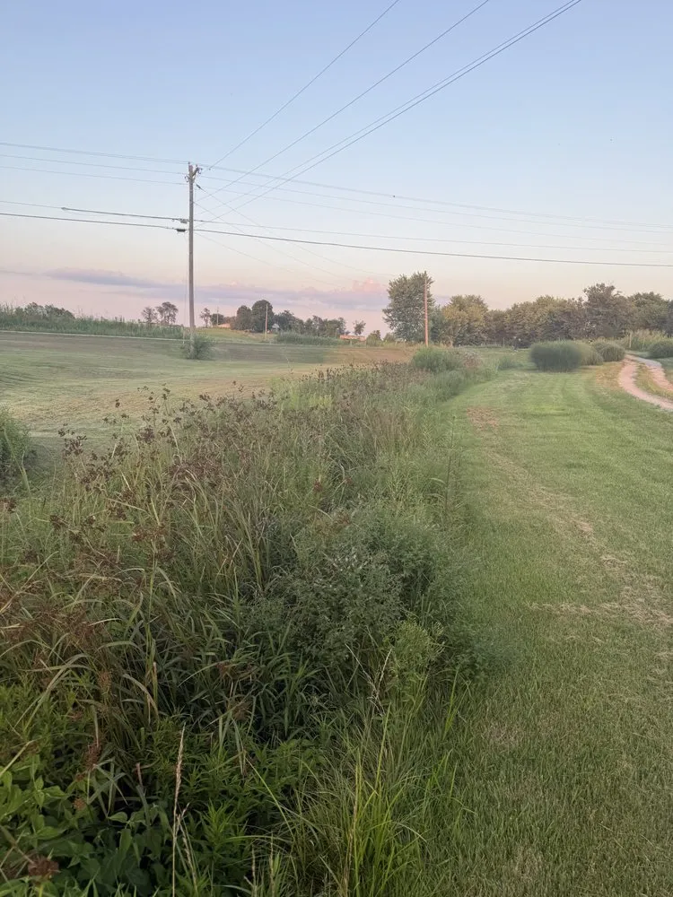 Expert lawn mowing service experts serving Bloomfield, KY - Kingdom Cuts