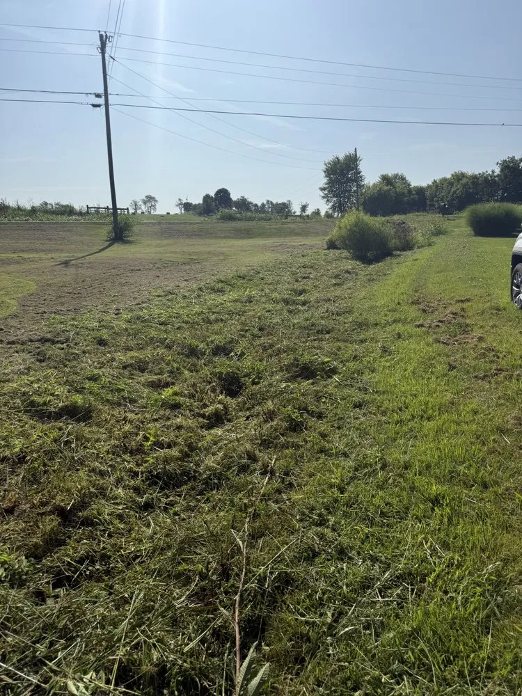 Affordable garden landscaping with custom design across Bloomfield, KY - Kingdom Cuts