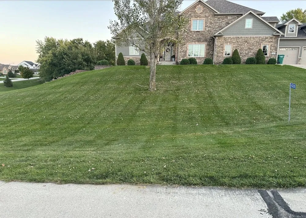 Custom yard cleanup service in Ames, IA by Kingdom Keepers