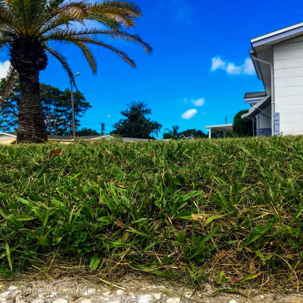Affordable lawn mowing service experts serving New Port Richey, FL - Kingdom Keepers Lawn Care