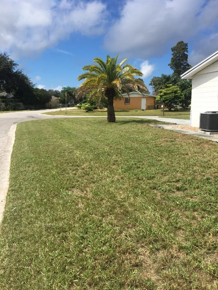 Expert lawn mowing service for homes across New Port Richey, FL - Kingdom Keepers Lawn Care