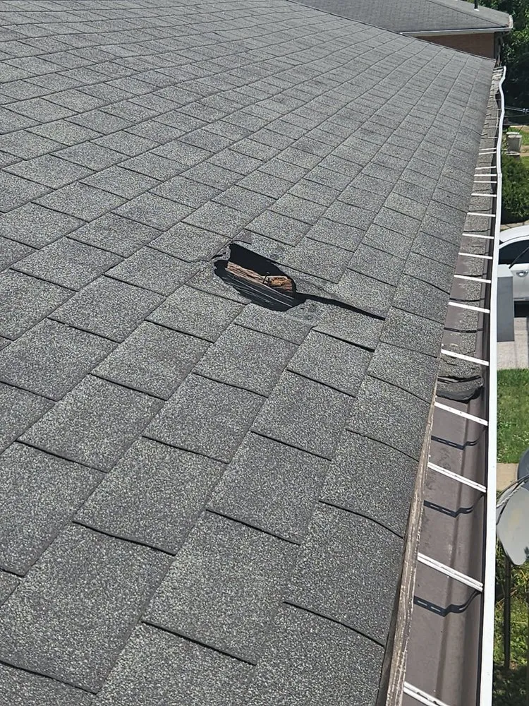 Top-rated yard cleanup service in Warrensville Heights, OH by Kingdom Kreationz