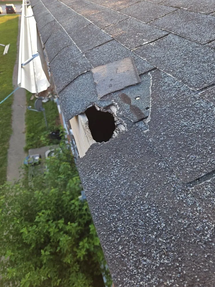 Professional landscape design in Warrensville Heights, OH by Kingdom Kreationz