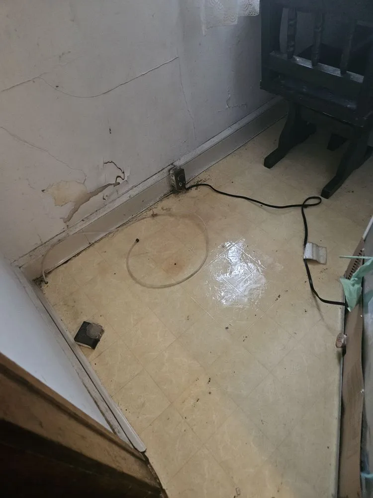 Top-rated landscaping services in Warrensville Heights, OH by Kingdom Kreationz