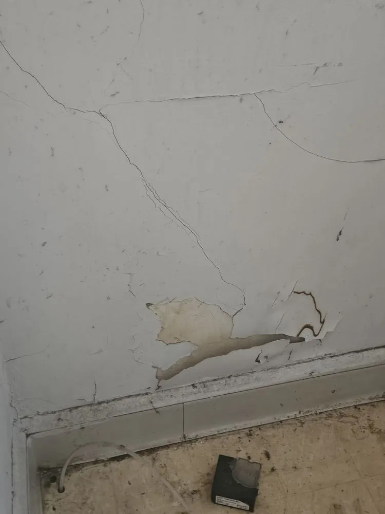 Trusted yard cleanup service for year-round maintenance across Warrensville Heights, OH - Kingdom Kreationz