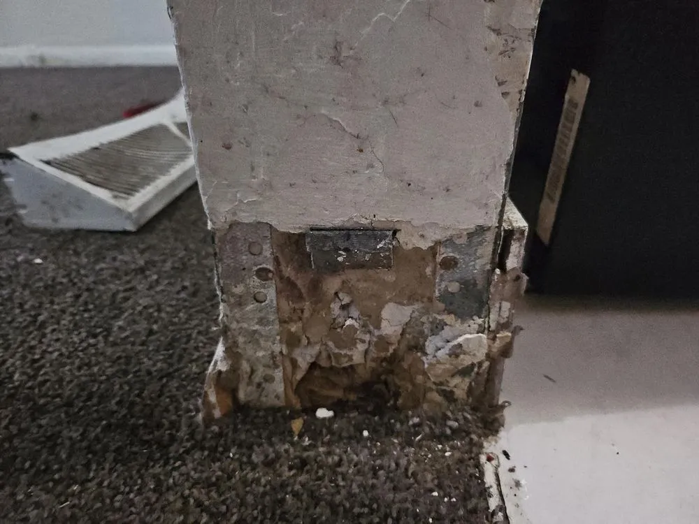 Affordable yard maintenance near you in Warrensville Heights, OH by Kingdom Kreationz