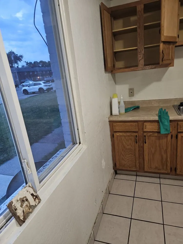 Top-rated yard cleanup service in Warrensville Heights, OH by Kingdom Kreationz