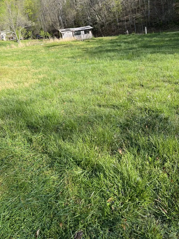 Custom landscaping services in River, KY - Kingdom Kuts Lawn Care