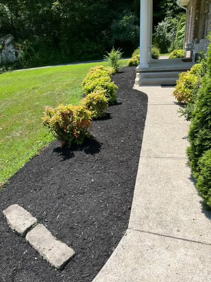 Professional yard maintenance experts serving River, KY - Kingdom Kuts Lawn Care