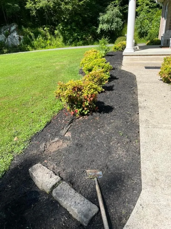 Local residential landscaping in River, KY by Kingdom Kuts Lawn Care