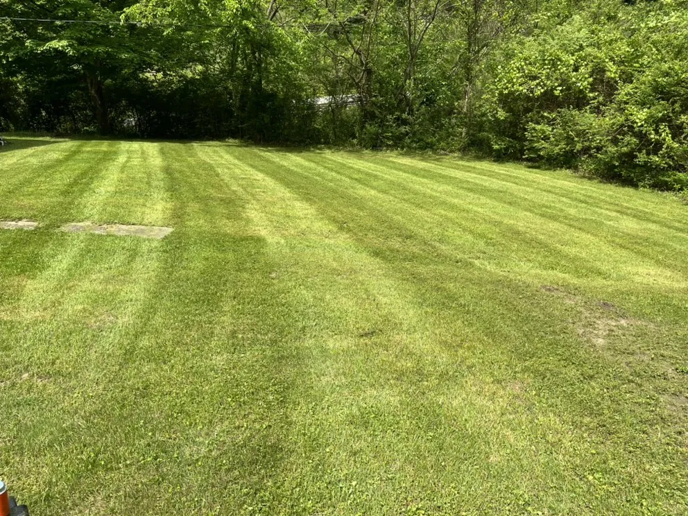 Custom landscaping services in River, KY by Kingdom Kuts Lawn Care
