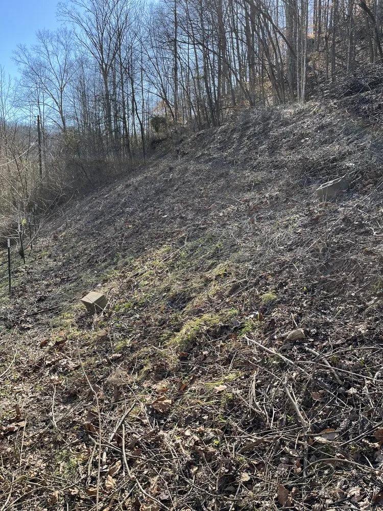 Affordable outdoor landscaping for outdoor upgrades in River, KY by Kingdom Kuts Lawn Care