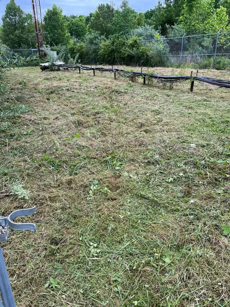 Expert landscape design for residential properties across River, KY - Kingdom Kuts Lawn Care