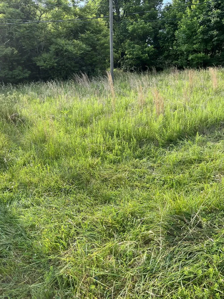 Local residential landscaping in River, KY by Kingdom Kuts Lawn Care