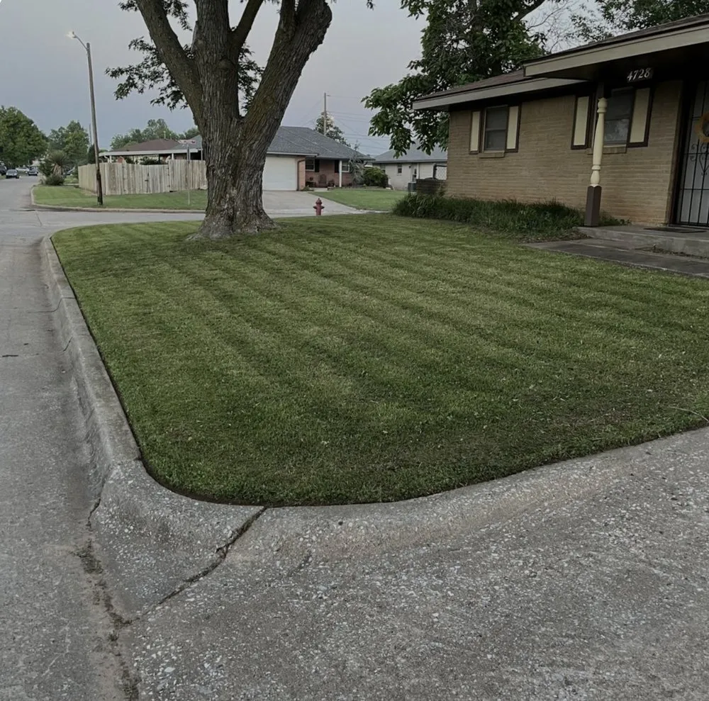 Top-rated yard cleanup service for residential properties across Grand Rapids, MI - Kingdom kutters