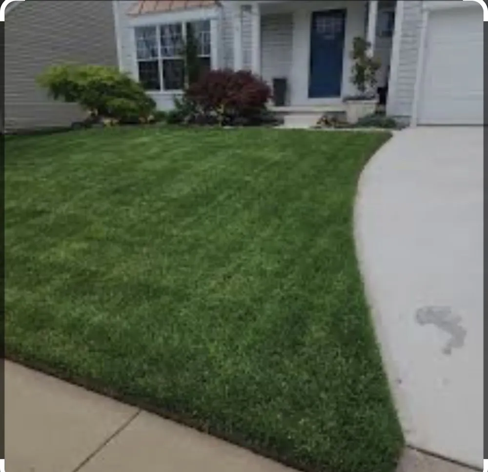 Affordable residential landscaping for residential properties in Grand Rapids, MI by Kingdom kutters