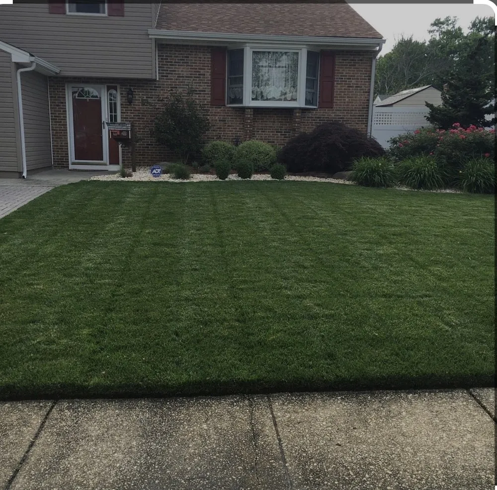 Local yard maintenance near you in Grand Rapids, MI by Kingdom kutters