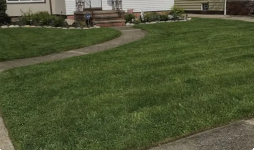 Professional landscape installation experts serving Grand Rapids, MI - Kingdom kutters